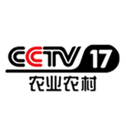 CCTV17